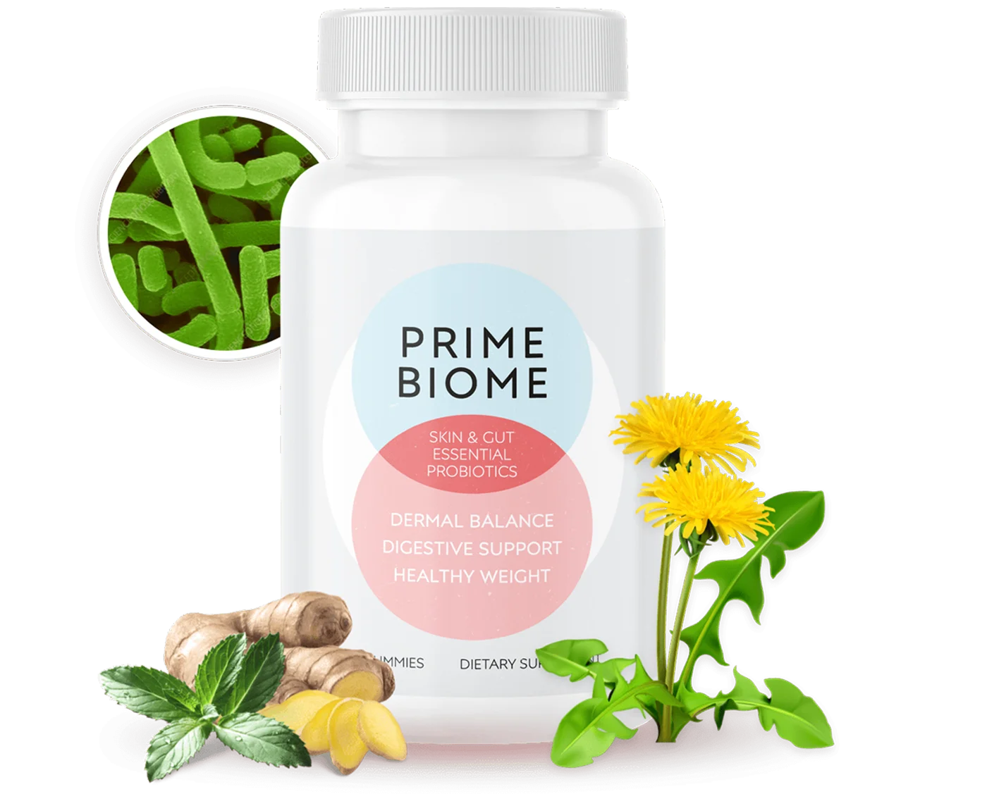Prime Biome Probiotic Gummy Bottle - Gut and Skin Health Supplement